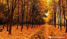 秋天妈妈最新爆料文案,最新爆料背后的温馨故事